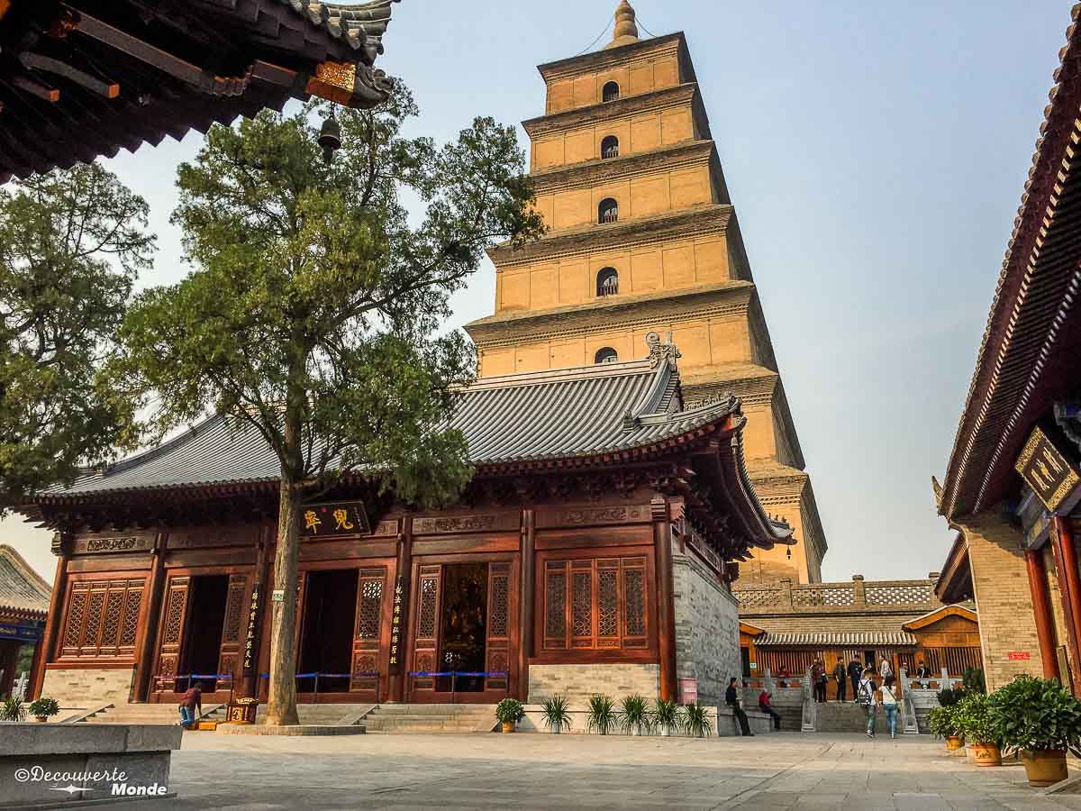 pagode oie sauvage xi'an
