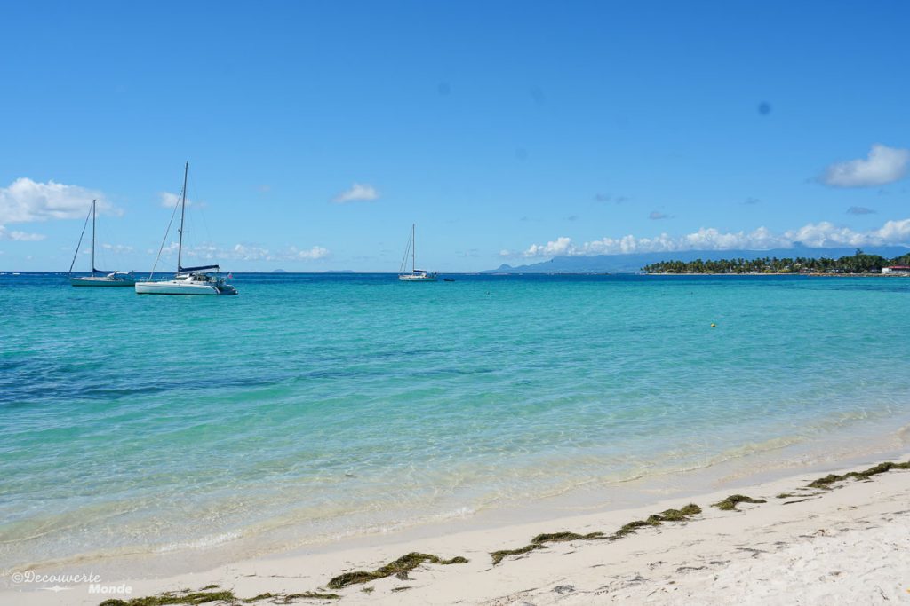 La plage de Sainte-Anne dans mon article Que faire en Guadeloupe et visiter : Idées d'activités à petit budget #guadeloupe #antilles #caraibes #ile #voyage #sainteanne #ocean #plage