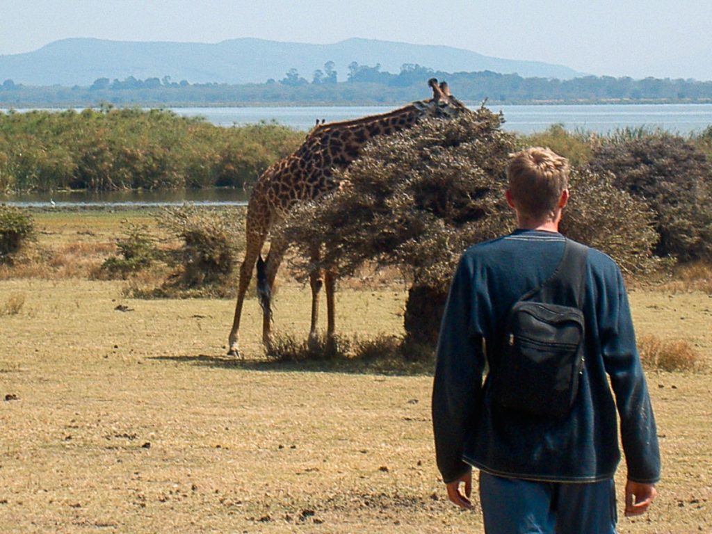 Girafe dans la réserve Naïvasha dans mon article Safari au Kenya pas cher : Comment le faire en indépendant dans 5 réserves #kenya #safari #afrique #voyage #animaux #naivasha