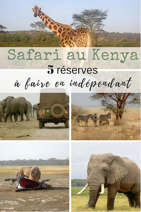 Safari au Kenya pas cher : Comment le faire en indépendant dans 5 réserves | Kenya | safari au Kenya | safaris au Kenya | Faire un safari au Kenya | Comment faire un safari au Kenya | safari au Kenya pas cher | safari au Kenya en indépendant | où faire un safari au Kenya | où aller en safari au Kenya | réserve Kenya | réserves safari au Kenya | quelle réserve faire safari au Kenya | kenya en afrique #kenya #afrique #safari #safariaukenya #reservekenya #voyage #animauxkenya