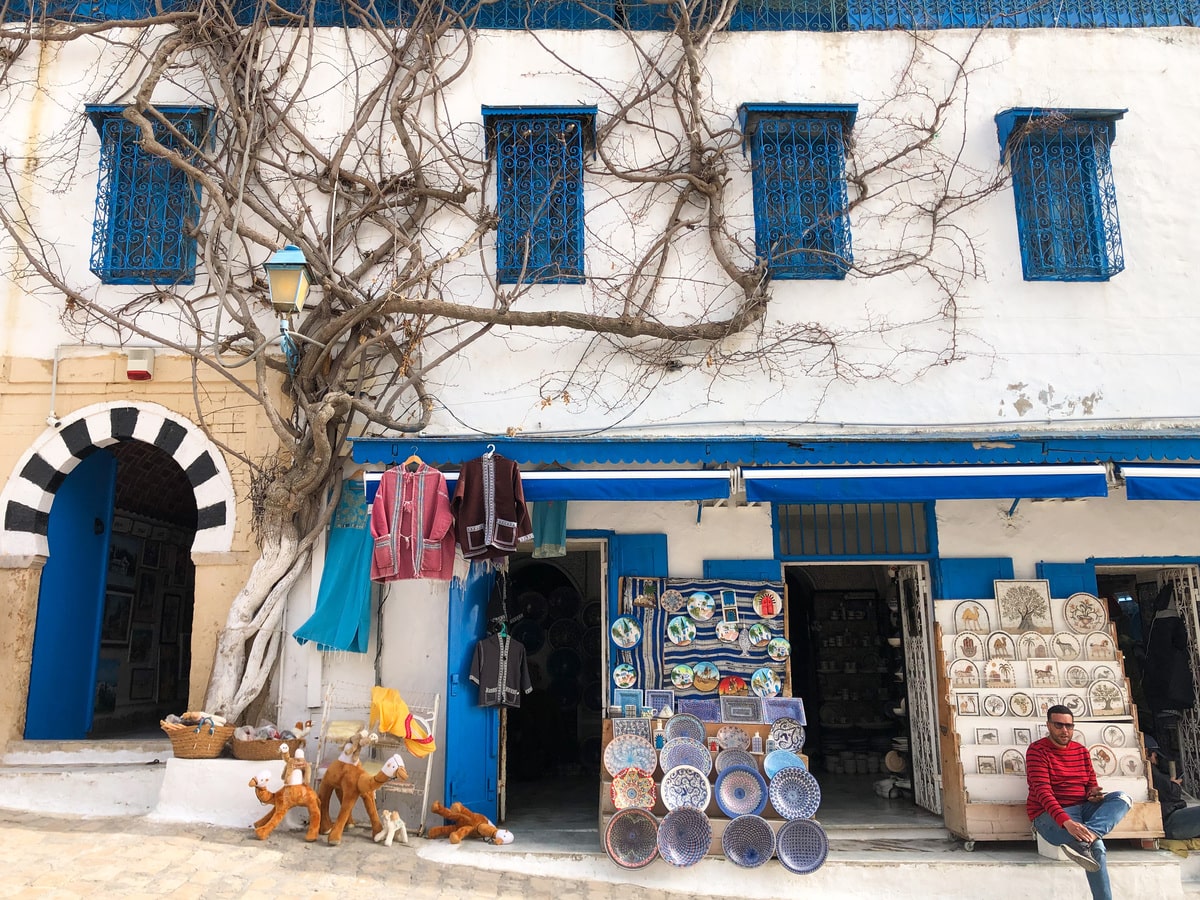 Village de Sidi Bou Saïd en Tunisie dans mon article Où aller en Tunisie et quoi faire : mon itinéraire de voyage en 12 lieux à visiter en Tunisie | quoi faire en Tunisie | où aller en Tunisie | voyage en Tunisie | visiter la Tunisie | itinéraire en Tunisie #tunisie #maghreb #afriquedunord #voyage #sidibousaid