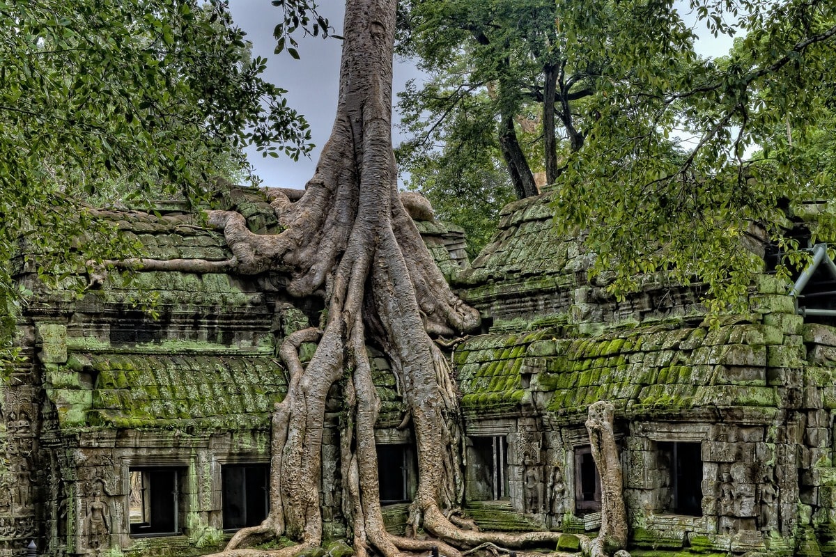 Temples d'Angkor dans notre article Visiter le Cambodge en 8 incontournables #cambodge #voyage #asie #asiedusudest #angkor